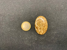 Charger l'image dans la galerie, Calcite 22