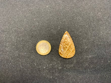 Charger l'image dans la galerie, Calcite 21