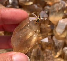 Charger l'image dans la galerie, Citrine brut 89