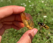 Charger l'image dans la galerie, Citrine brut 64