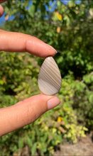 Charger l'image dans la galerie, Silex 8