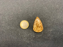 Charger l'image dans la galerie, Calcite 23