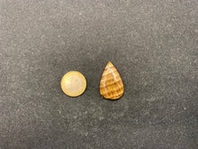 Charger l'image dans la galerie, VENDU Calcite 24