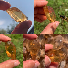Charger l'image dans la galerie, Citrine brut 64