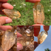 Charger l'image dans la galerie, Citrine brut 71