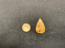 Charger l'image dans la galerie, Calcite 20