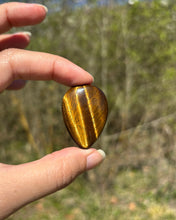 Charger l'image dans la galerie, Oeil de tigre 76