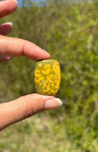 Charger l'image dans la galerie, Jaspe Océan 6