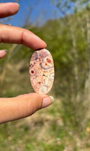 Charger l'image dans la galerie, Jaspe oeil d'oiseau 8