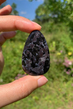 Charger l'image dans la galerie, Gabbro 3