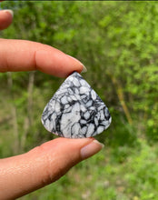 Charger l'image dans la galerie, Pinolite 22