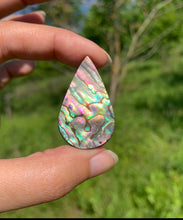 Charger l'image dans la galerie, VENDU Abalone 54