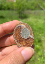 Charger l'image dans la galerie, Ammonite de Madagascar 21