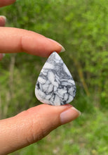 Charger l'image dans la galerie, Pinolite 21