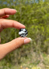 Charger l'image dans la galerie, Jaspe Zebré 12