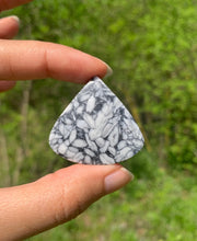 Charger l'image dans la galerie, Pinolite 17