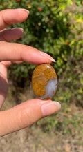 Charger l'image dans la galerie, Jaspe héliotrope 26