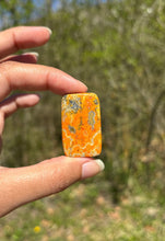 Charger l'image dans la galerie, Jaspe Bumblebee 30