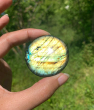 Charger l'image dans la galerie, Labradorite 240