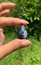 Charger l'image dans la galerie, VENDU Agate dendritique 45