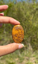 Charger l'image dans la galerie, Jaspe Mariam 24