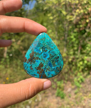 Charger l'image dans la galerie, Chrysocolle 1