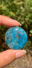 Charger l'image dans la galerie, VENDU Apatite bleue 29