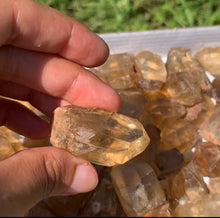 Charger l'image dans la galerie, Citrine brut 26