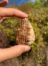 Charger l'image dans la galerie, Calcite 10