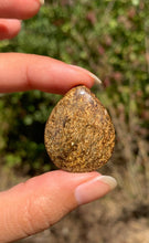 Charger l'image dans la galerie, VENDU Bronzite 17