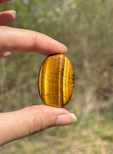 Charger l'image dans la galerie, Oeil de tigre 72