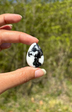 Charger l'image dans la galerie, Jaspe Zebré 19