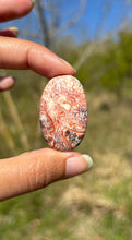 Charger l'image dans la galerie, Jaspe Léopard 7