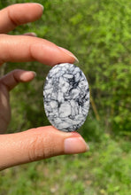 Charger l'image dans la galerie, Pinolite 16