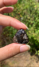 Charger l'image dans la galerie, Jaspe à turritelles 32