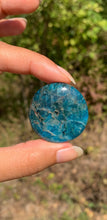 Charger l'image dans la galerie, VENDU Apatite bleue 16
