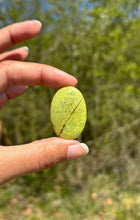 Charger l'image dans la galerie, Opale Commune Verte 10