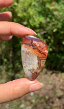 Charger l'image dans la galerie, Agate Crazy Lace 12