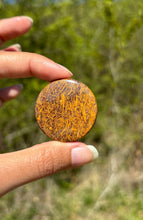 Charger l'image dans la galerie, Jaspe Mariam 18