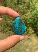 Charger l'image dans la galerie, Chrysocolle 20