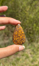 Charger l'image dans la galerie, Jaspe Mariam 23