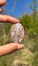 Charger l'image dans la galerie, Jaspe Léopard 5