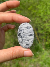 Charger l'image dans la galerie, Pinolite 19