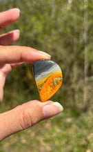 Charger l'image dans la galerie, Jaspe Bumblebee 26