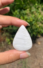 Charger l'image dans la galerie, Scolécite 31