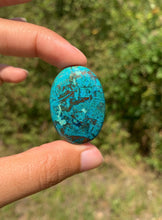 Charger l'image dans la galerie, Chrysocolle 19