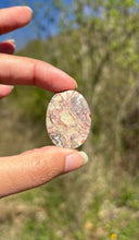 Charger l'image dans la galerie, Jaspe oeil d'oiseau 4
