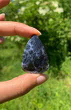 Charger l'image dans la galerie, Agate dendritique 37