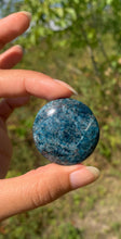Charger l'image dans la galerie, Apatite bleue 20