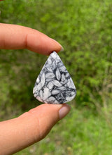 Charger l'image dans la galerie, Pinolite 20